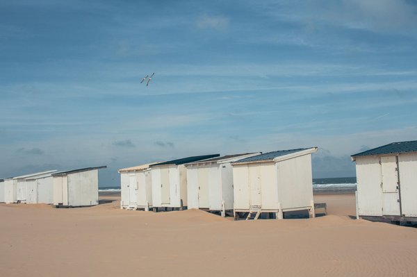 Opter pour un séjour en location dans un camping avec écolodges en Gironde